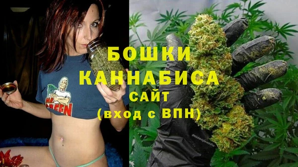 прущие крисы Дмитровск