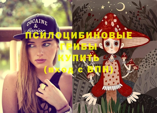 прущие крисы Дмитровск