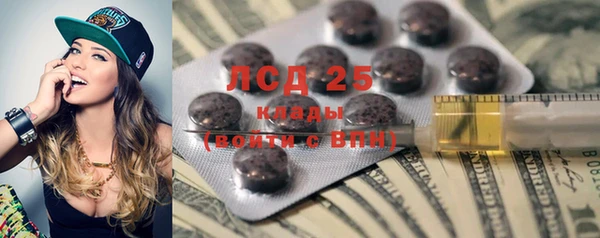 PSILOCYBIN Заводоуковск